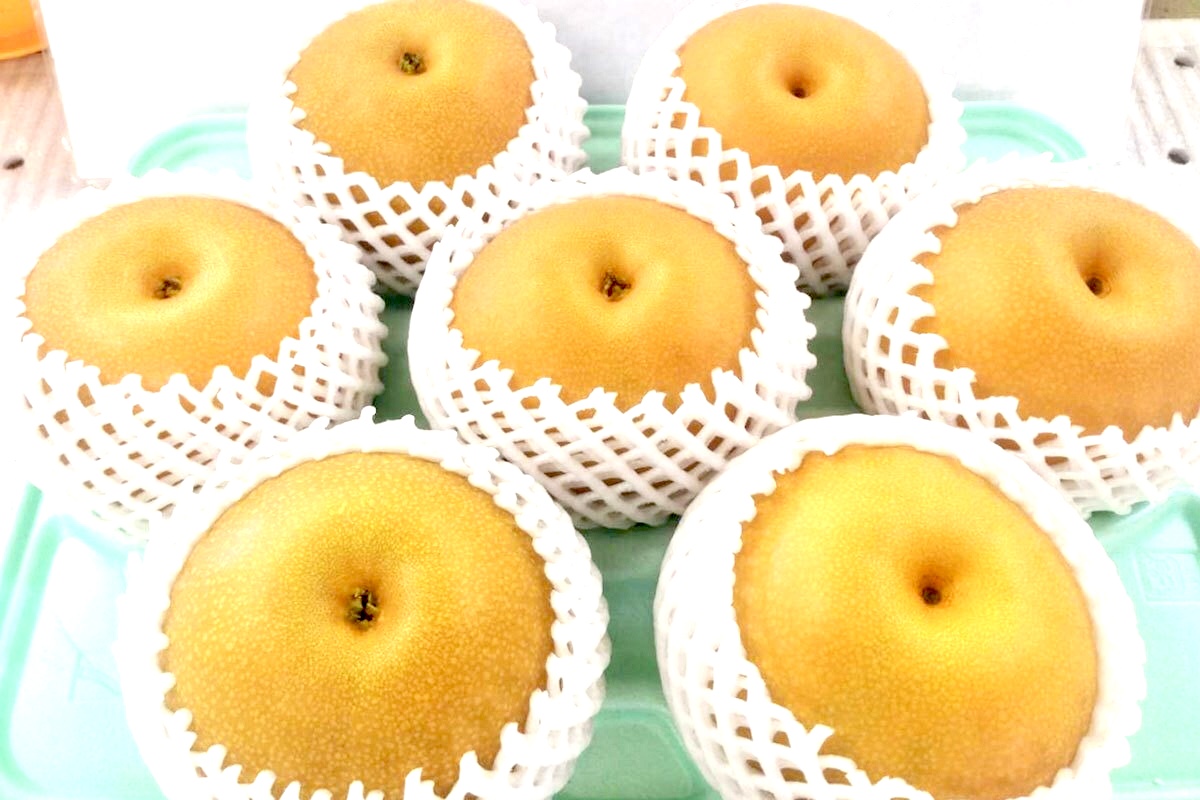 香港向けに千葉県産の梨「あきづき」を720kg輸出致します。
